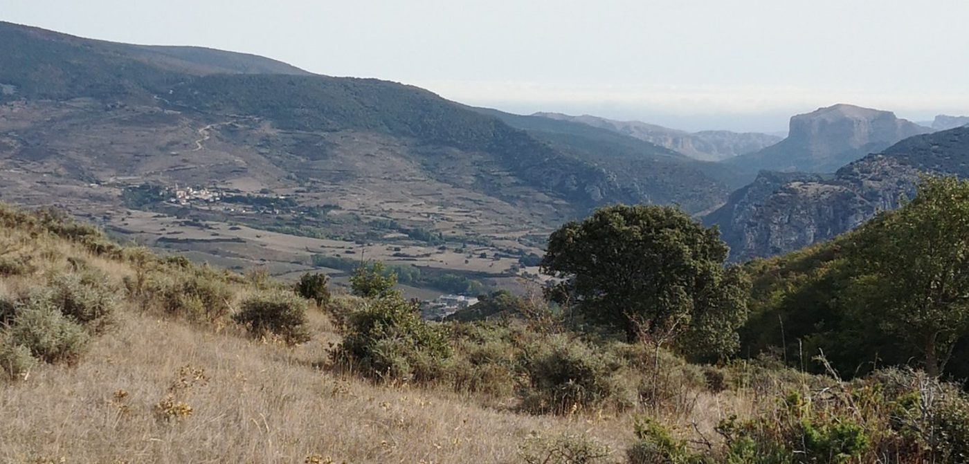 Vistas de Nestares y Castillo de Viguera