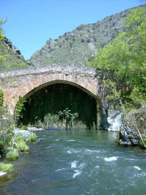 Puente la Hiedra