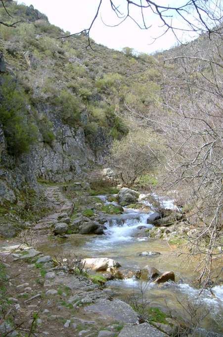 Sendero Arroyo de Ormazal